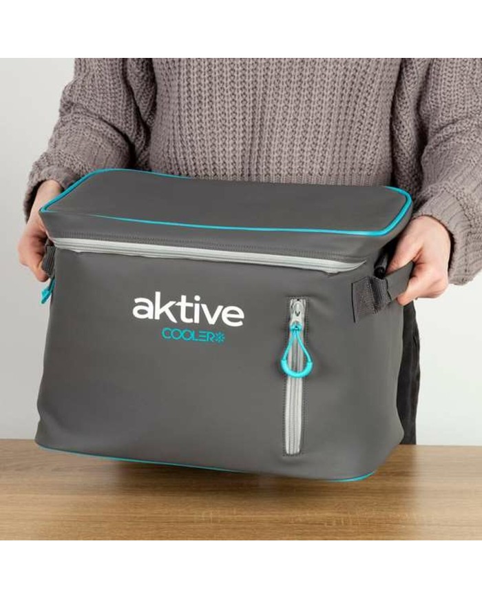 Frigo Portatile Aktive 18 L 34 x 21 x 26 cm