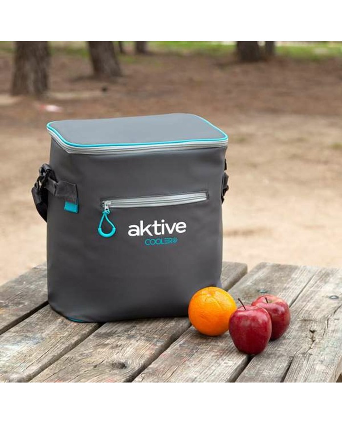 Frigo Portatile Aktive 23 L 30 x 22 x 35 cm