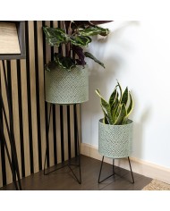 Vaso con supporto Vinthera Moa Verde Metallo 22 x 22 x 58 cm (4 Unità)