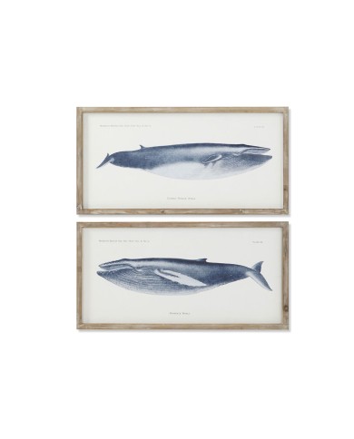 Quadro Home ESPRIT Balena 70 x 2,5 x 35 cm (2 Unità) Quadro Home ESPRIT Balena 70 x 2,5 x 35 cm (2 Unità)