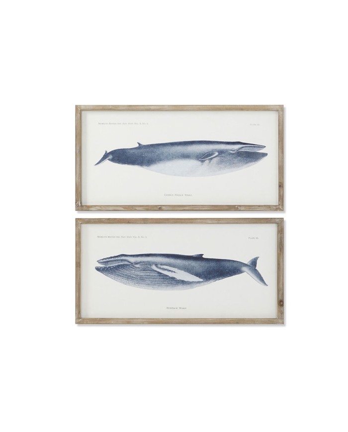 Quadro Home ESPRIT Balena 70 x 2,5 x 35 cm (2 Unità)