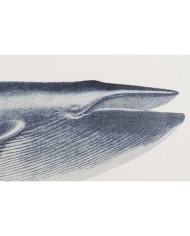 Quadro Home ESPRIT Balena 70 x 2,5 x 35 cm (2 Unità)