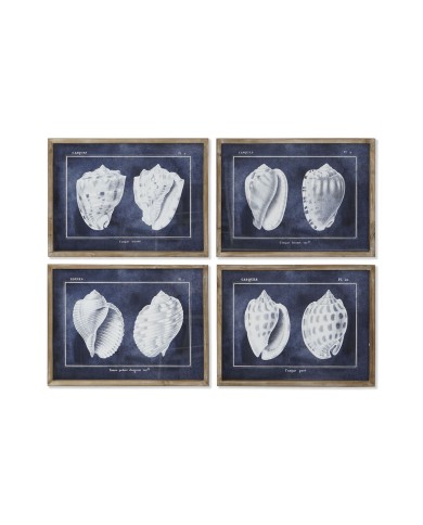 Quadro Home ESPRIT Conchiglia 60 x 2,5 x 45 cm (4 Unità) Quadro Home ESPRIT Conchiglia 60 x 2,5 x 45 cm (4 Unità)