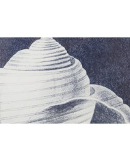 Quadro Home ESPRIT Conchiglia 60 x 2,5 x 45 cm (4 Unità)