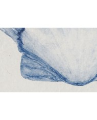 Quadro Home ESPRIT Corallo Mediterraneo 50 x 2,5 x 50 cm (4 Unità)