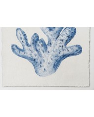 Quadro Home ESPRIT Corallo Mediterraneo 50 x 2,5 x 50 cm (4 Unità)