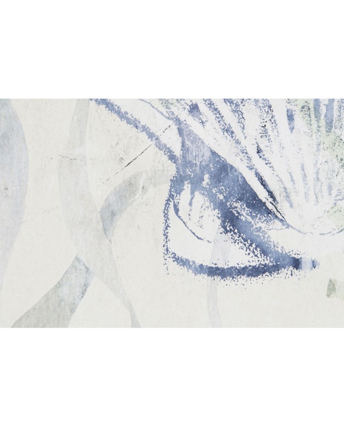 Quadro Home ESPRIT Mediterraneo Conchiglia 45 x 2,5 x 60 cm (4 Unità)