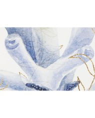 Quadro Home ESPRIT Mediterraneo 50 x 2,5 x 70 cm (2 Unità)