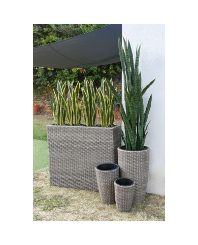 Vaso Home ESPRIT polipropilene Rattan 83 x 22 x 65 cm Vaso Home ESPRIT polipropilene Rattan 83 x 22 x 65 cm
