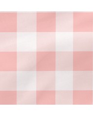 Cuscino HappyFriday Basic Rosa Vichy 60 x 40 cm Cuscino HappyFriday Basic Rosa Vichy 60 x 40 cm