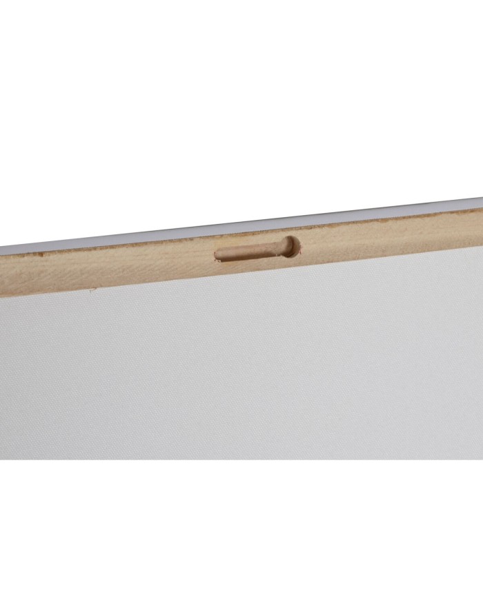 Quadro Home ESPRIT Conchiglia 60 x 2,5 x 80 cm (4 Unità)