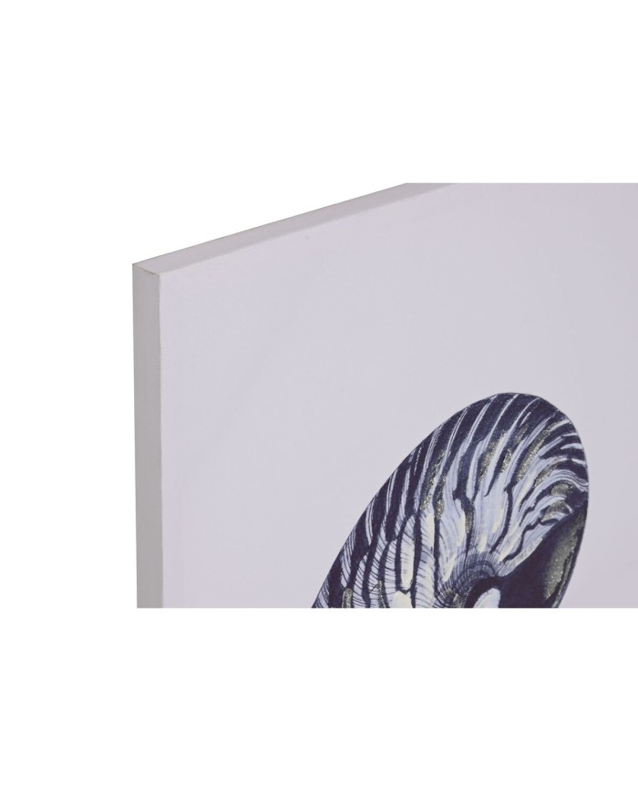 Quadro Home ESPRIT Conchiglia 60 x 2,5 x 80 cm (4 Unità)