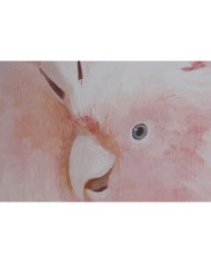 Quadro Home ESPRIT Pappagallo Tropicale 100 x 4 x 140 cm (2 Unità)