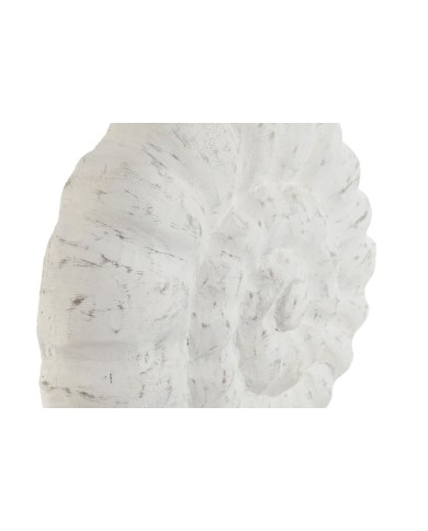 Statua Decorativa Home ESPRIT Bianco Naturale Mediterraneo Conchiglia 29 x 7,5 x 38,5 cm
