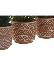 Pianta Decorativa Home ESPRIT Polietilene Cemento 12 x 12 x 17 cm (3 Unità) Pianta Decorativa Home ESPRIT Polietilene Cemento 12 x 12 x 17 cm (3 Unità)