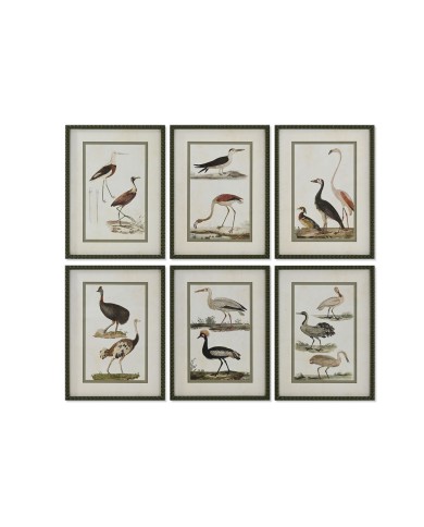 Quadro Home ESPRIT Uccelli Cottage 40 x 2,5 x 54 cm (6 Unità)