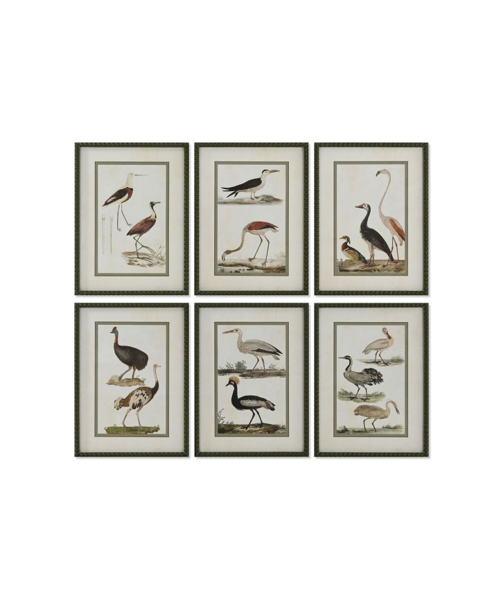 Quadro Home ESPRIT Uccelli Cottage 40 x 2,5 x 54 cm (6 Unità)