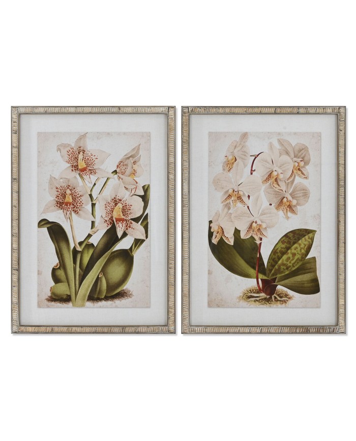 Quadro Home ESPRIT Tropicale Orchidea 50 x 2,5 x 70 cm (2 Unità) Quadro Home ESPRIT Tropicale Orchidea 50 x 2,5 x 70 cm (2 Unità)