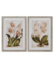 Quadro Home ESPRIT Tropicale Orchidea 50 x 2,5 x 70 cm (2 Unità) Quadro Home ESPRIT Tropicale Orchidea 50 x 2,5 x 70 cm (2 Unità)