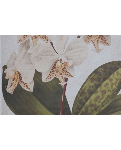 Quadro Home ESPRIT Tropicale Orchidea 50 x 2,5 x 70 cm (2 Unità)