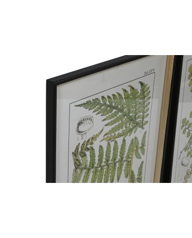 Quadro Home ESPRIT Moderno Felce 50 x 2,5 x 65 cm (6 Unità)