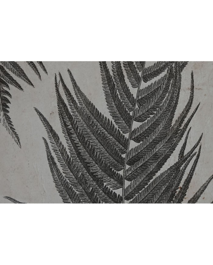 Quadro Home ESPRIT Felce Cottage 50 x 2,5 x 70 cm (4 Unità)