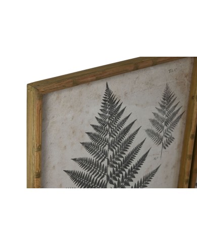 Quadro Home ESPRIT Felce Cottage 50 x 2,5 x 70 cm (4 Unità)