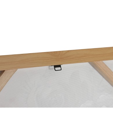 Quadro Home ESPRIT Fiori Moderno 70 x 3,5 x 100 cm (2 Unità)