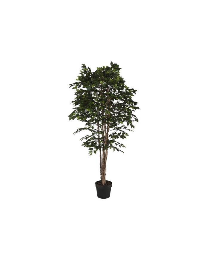 Albero Home ESPRIT Polietilene Ficus 100 x 100 x 210 cm Albero Home ESPRIT Polietilene Ficus 100 x 100 x 210 cm
