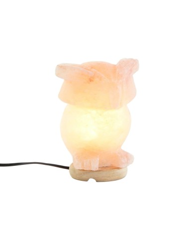 Lampada da tavolo DKD Home Decor Rosa Esci Acacia 15 W 220 V 14 x 14 x 18 cm