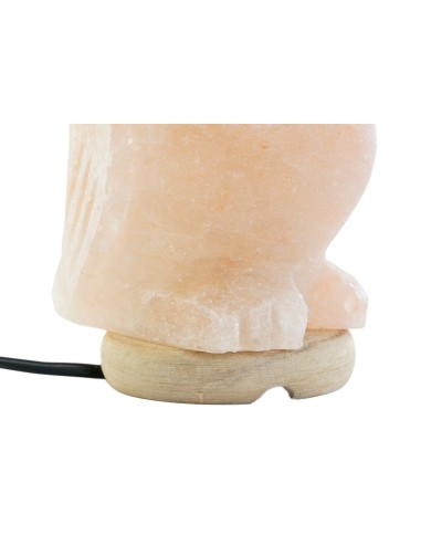 Lampada da tavolo DKD Home Decor Rosa Esci Acacia 15 W 220 V 14 x 14 x 18 cm