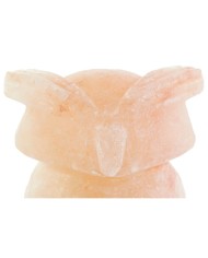 Lampada da tavolo DKD Home Decor Rosa Esci Acacia 15 W 220 V 14 x 14 x 18 cm Lampada da tavolo DKD Home Decor Rosa Esci Acacia 15 W 220 V 14 x 14 x 18 cm