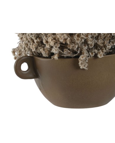 Pianta Decorativa Home ESPRIT Fiore 22 x 22 x 14 cm (2 Unità) Pianta Decorativa Home ESPRIT Fiore 22 x 22 x 14 cm (2 Unità)