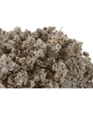 Pianta Decorativa Home ESPRIT Fiore 22 x 22 x 14 cm (2 Unità) Pianta Decorativa Home ESPRIT Fiore 22 x 22 x 14 cm (2 Unità)