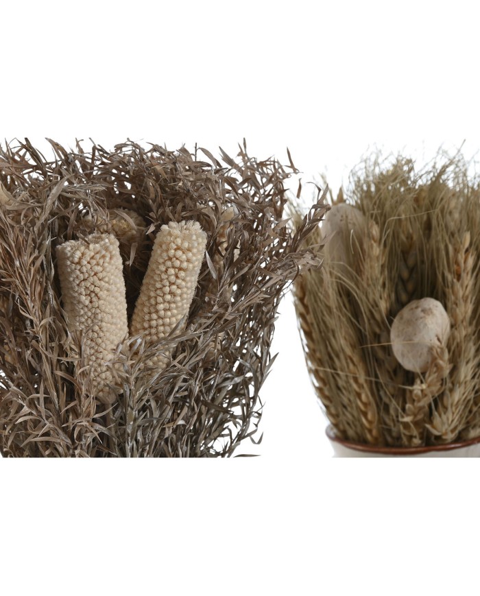 Pianta Decorativa Home ESPRIT Fiore 13 x 13 x 25 cm (2 Unità) (12 Unità) Pianta Decorativa Home ESPRIT Fiore 13 x 13 x 25 cm (2 Unità) (12 Unità)