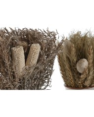 Pianta Decorativa Home ESPRIT Fiore 13 x 13 x 25 cm (2 Unità) (12 Unità) Pianta Decorativa Home ESPRIT Fiore 13 x 13 x 25 cm (2 Unità) (12 Unità)