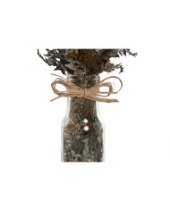 Pianta Decorativa Home ESPRIT Cristallo Fiore 11 x 11 x 40 cm (3 Unità) Pianta Decorativa Home ESPRIT Cristallo Fiore 11 x 11 x 40 cm (3 Unità)