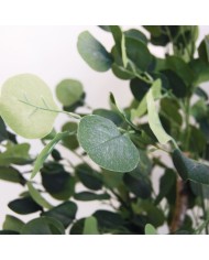 Albero Home ESPRIT Poliestere Legno Cemento Eucalipto 90 x 90 x 180 cm Albero Home ESPRIT Poliestere Legno Cemento Eucalipto 90 x 90 x 180 cm