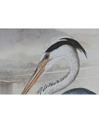 Quadro Home ESPRIT Azzurro Bianco Uccello Orientale 50 x 2,5 x 70 cm (2 Unità)