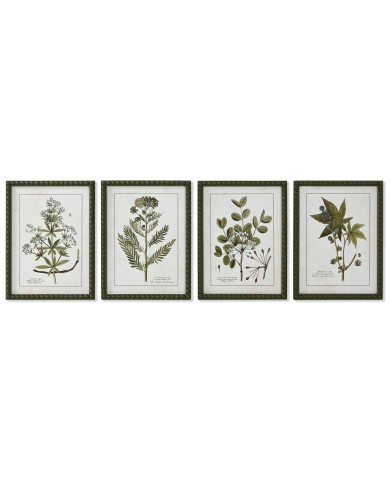 Quadro Home ESPRIT Verde Beige Shabby Chic Piante botaniche 30 x 2,5 x 40 cm (4 Unità)