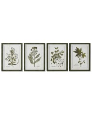 Quadro Home ESPRIT Verde Beige Shabby Chic Piante botaniche 30 x 2,5 x 40 cm (4 Unità)