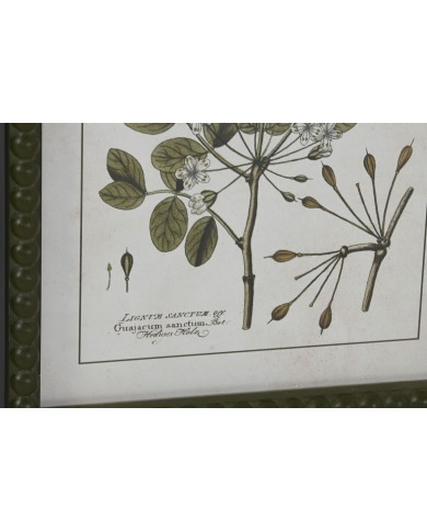 Quadro Home ESPRIT Verde Beige Shabby Chic Piante botaniche 30 x 2,5 x 40 cm (4 Unità)