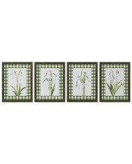 Quadro Home ESPRIT Verde Beige Shabby Chic Piante botaniche 30 x 2,5 x 40 cm (4 Unità)