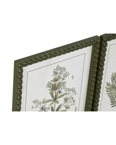 Quadro Home ESPRIT Verde Beige Shabby Chic Piante botaniche 30 x 2,5 x 40 cm (4 Unità)