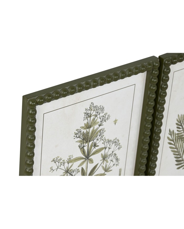 Quadro Home ESPRIT Verde Beige Shabby Chic Piante botaniche 30 x 2,5 x 40 cm (4 Unità)