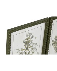 Quadro Home ESPRIT Verde Beige Shabby Chic Piante botaniche 30 x 2,5 x 40 cm (4 Unità)