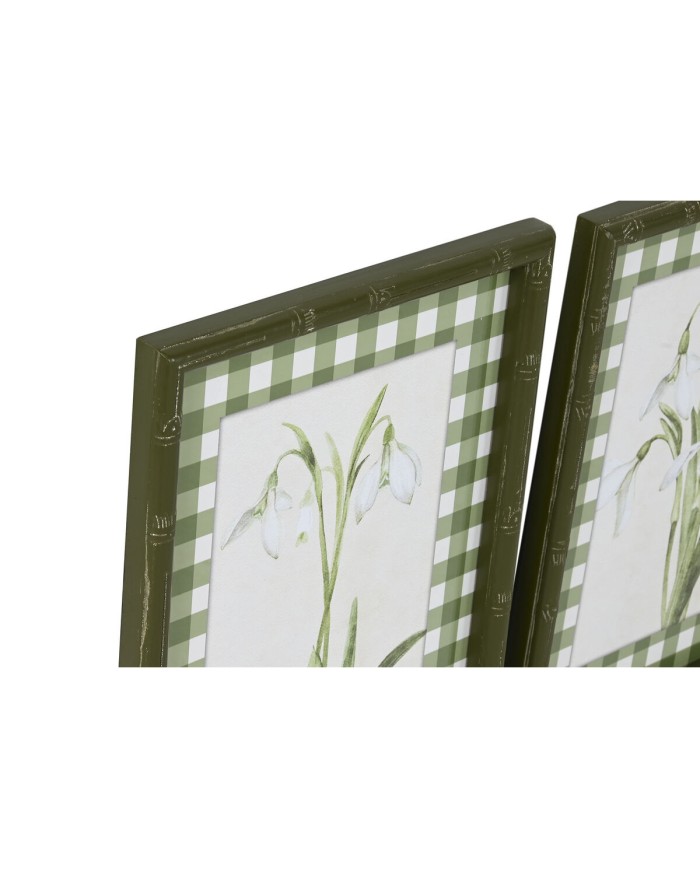 Quadro Home ESPRIT Verde Beige Shabby Chic Piante botaniche 30 x 2,5 x 40 cm (4 Unità)