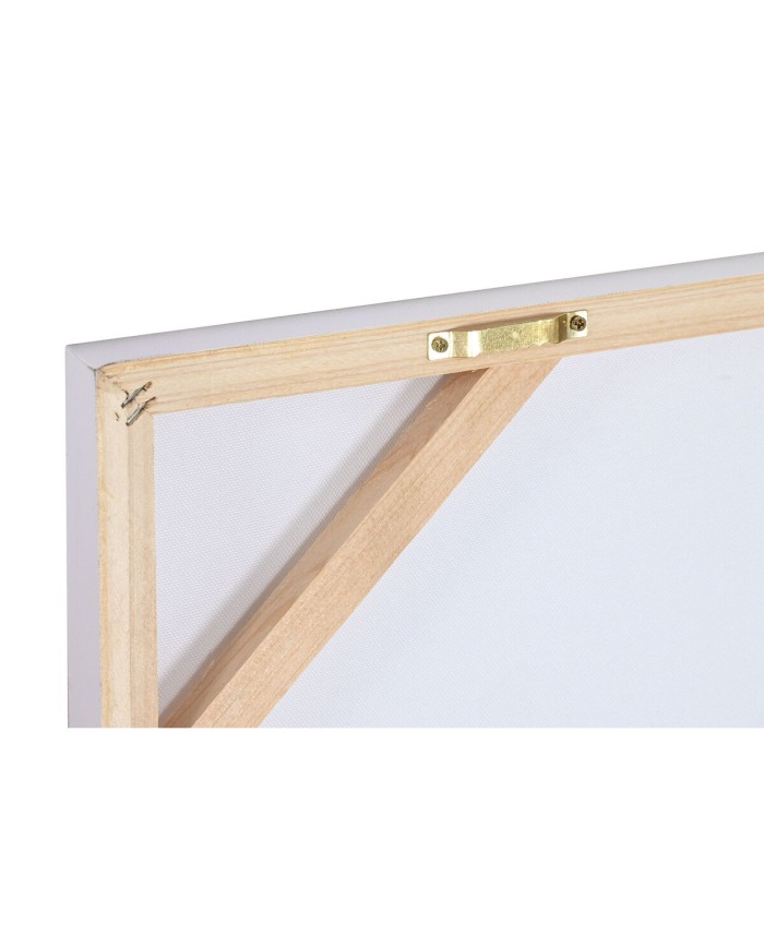 Quadro Home ESPRIT Beige Rosa Tela Legno MDF Cavallo Shabby Chic 80 x 2,5 x 60 cm (2 Unità)