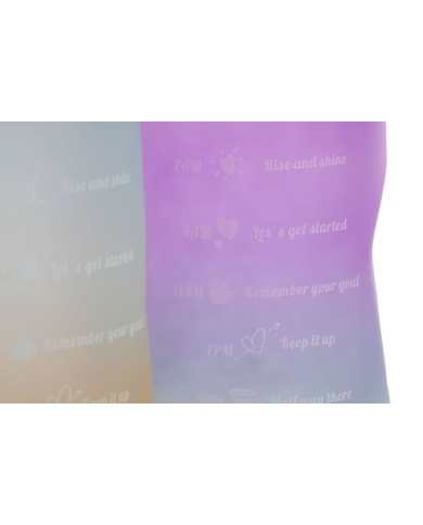 Bottiglia d'acqua Home ESPRIT Azzurro Rosa Turchese Lilla polipropilene PET 2 L (3 Unità)