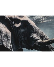 Quadro Home ESPRIT Azzurro Grigio Stampato 150 x 4 x 100 cm Quadro Home ESPRIT Azzurro Grigio Stampato 150 x 4 x 100 cm